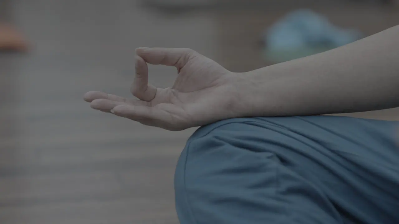 Meditation posture and mudra — Navyoga practice