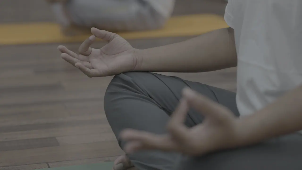 Gyan mudra — pranayama practice at Navyoga